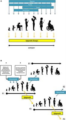 Stress in the Educational System as a Potential Source of Epigenetic Influences on Children's Development and Behavior